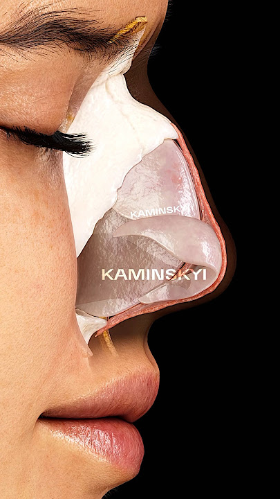 SKIN ⭕️ Superficial structure covering all elements of the outer nose. #kaminskyi