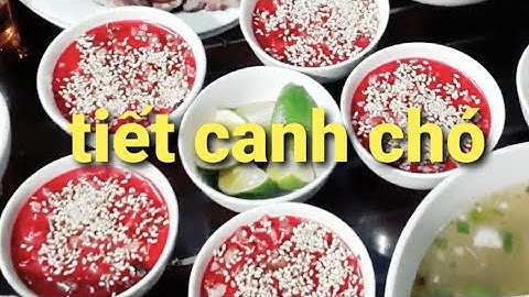 Thịt Chó Tiết Canh. Toàn Cao Thủ Ăn Tỏi Chó | Nguyễn Ngọc Biển HN.