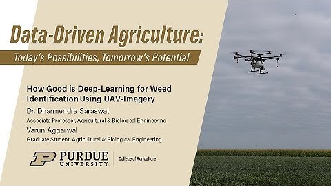Using Deep-Learning for Weed Identification from UAV-Imagery