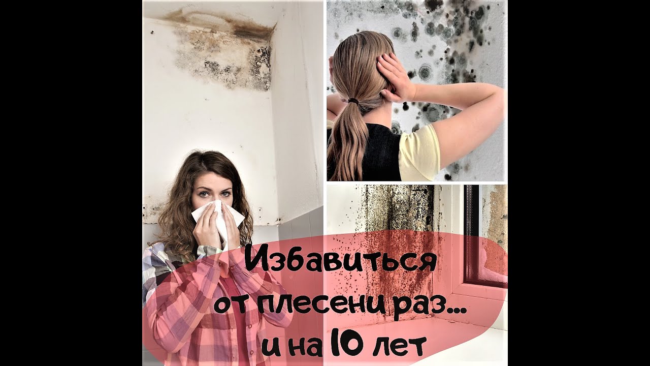 Протекто грибок. Или как избавиться от плесени на всегда! - YouTube