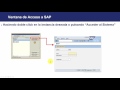 3. CURSO BASICO DE SAP - Cómo se accede a SAP
