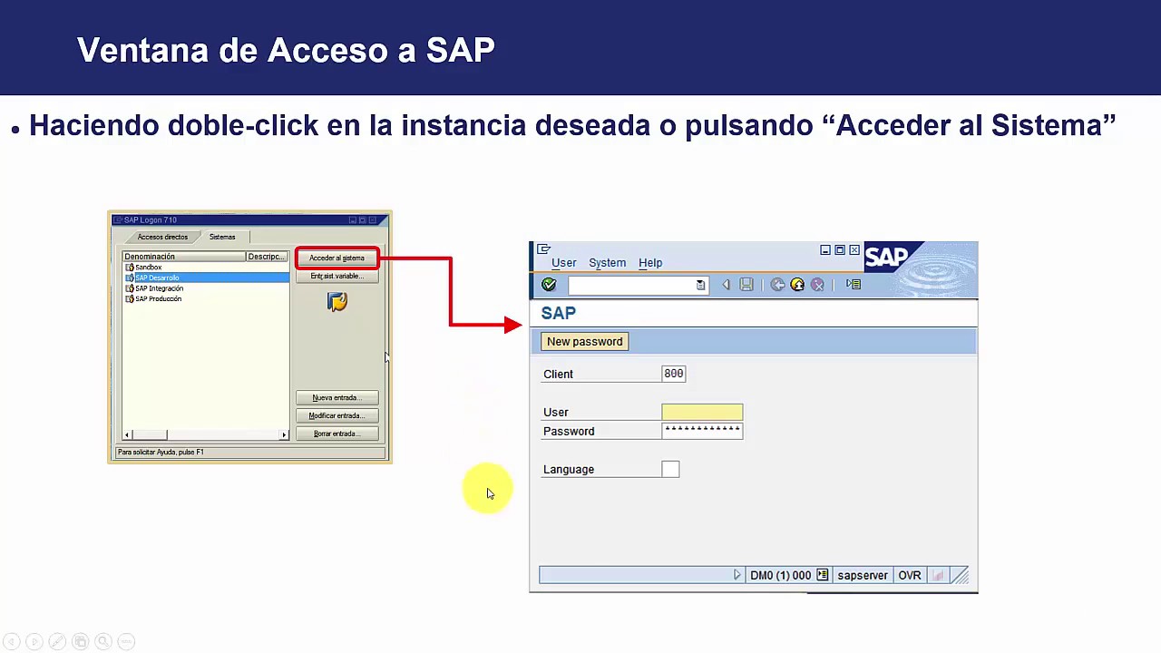 3. CURSO BASICO DE SAP - Cómo se accede a SAP - YouTube