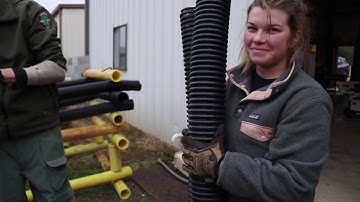 Building Fish Habitat