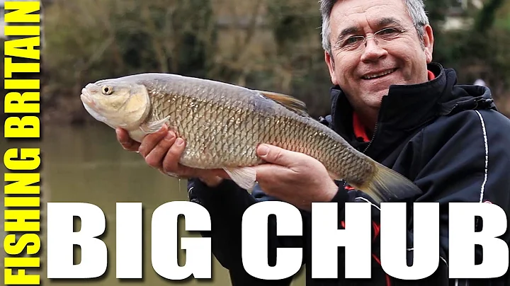 Big Wye Chub and Monster Lechlade Trout - Fishing ...