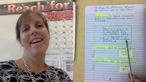 difference between an inference and an observation