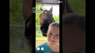 Mav went on a field trip