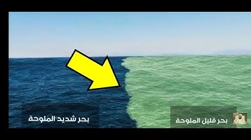 [وهو الذي مرج البحرين.....]      إسمعها بقلبك تلاوة مؤثرة خالد الجليل ❤️