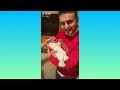 Best Videos On Tik Tok 2021 Chef Burak 