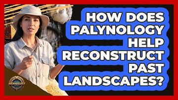 How Does Palynology Help Reconstruct Past Landscapes?