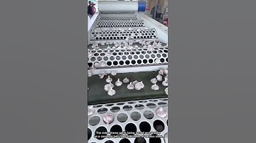 How Do These Holes Automatically Sort the Garlic?