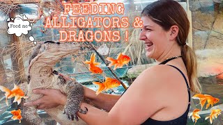 FEEDING GIANT ALLIGATORS AND DRAGONS ! by Tawny Antle 19,304 views 3 years ago 10 minutes, 1 second