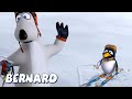 Бернард Медведь | Лыжи 2 И БОЛЬШЕ | Мультфильмы для детей | Полные эпизоды