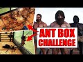 ANT BOX CHALLENGE ● ARK Funny Video ● SRten ● Hindi (हिन्दी)
