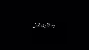 شاشة سوداء || سورة لقمان || اسلام صبحي