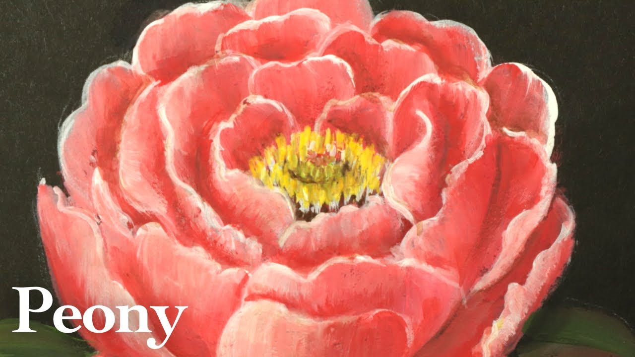 How to paint a peony flower in acrylic | coral pink - YouTube