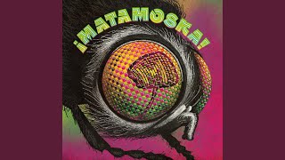 Tren Al Sur - Matamoska!