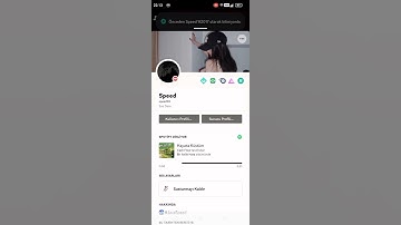 Discord Etiket Güncellemesini Erkenden Alın!