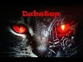 Excision Downlink Robo Kitty mp3