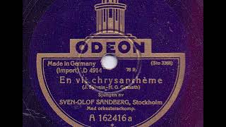 SOS - EN VIT CHRYSANTHÉME