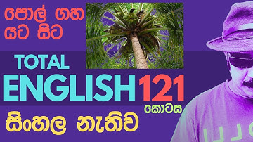 Learn to speak English for Beginners 2025 Using Total Immersion | 121
