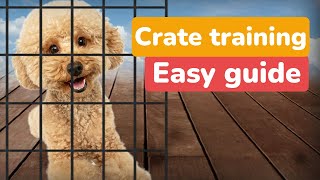 Crate Train Your Poodle: 5 Simple Steps for a Happy Dog!