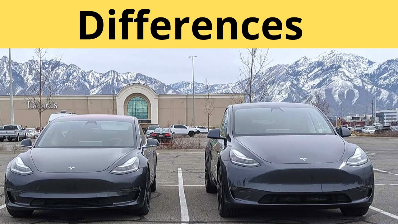 A diferença entre Tesla Model Y VS Model 3 difference between