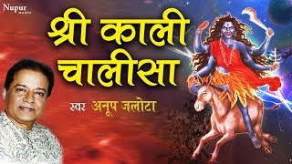 Shree Kali Chalisa | श्री काली माता चालीसा | Jai Kaali Kankaal Malini | Anup Jalota
