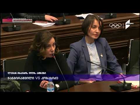 კობახიძე ჯანგირაშვილს - ნუ იტყუებით, რელსებიდან გადახვედით! - კამათი სხდომაზე