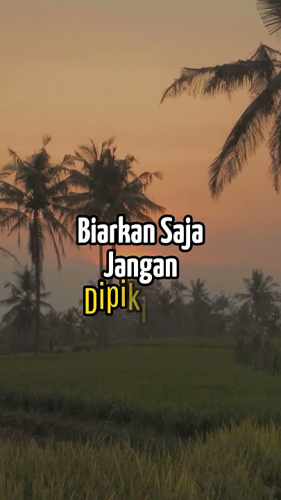 Kalau ada buah busuk di pohon biarkan saja, jangan di petik nanti juga jatuh sendiri || motivasi