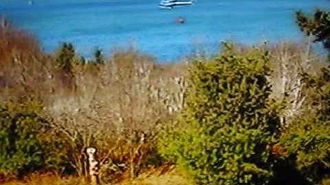 Helicopters fighting the Spryfield Forest Fire