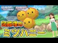 【図鑑埋め】ミツハニー持ちトレーナー紹介【ポケモンBDSP/ダイパリメイク】