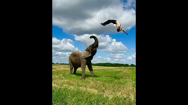 Back Flip with Elephant 🐘