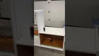 Making A Reptile Enclosure Out Of A Entertainment Stand Pt 3