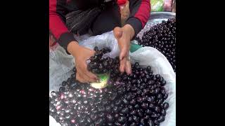 Java plum fruits