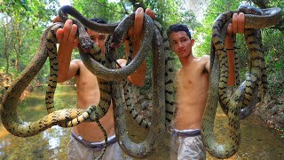 Wow! Catch \& Cook Big Snake Soup Eating Delicious In the River