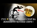 Гул 🐝 чанги билан Сехр ва Жинни Йӯқотиш сири !