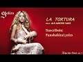 03 Shakira - La Tortura (feat. Alejandro Sanz) [Lyrics]