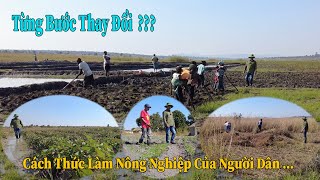 Thế Nhân || Từng Bước Đưa Vào Canh Tác Những Giống Cây Trồng Mang Lại Giá Trị Kinh Tế Cho Người Dân