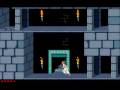 Amiga Longplay Prince Of Persia