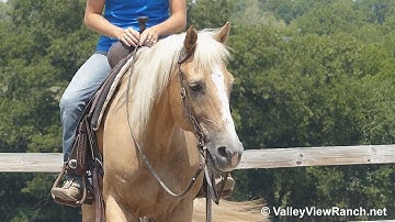 Docs Yellow Duster - mounting, jog, lope, stops! - ValleyViewRanch.net
