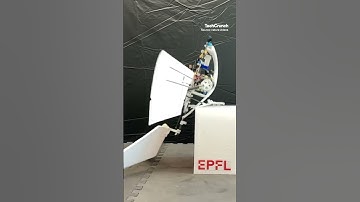 Watch this bird-inspired robotic drone take flight | TechCrunch