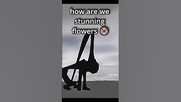 how tf do you stun פרחים? (credits to vibingleaf) #forsaken #roblox #memes