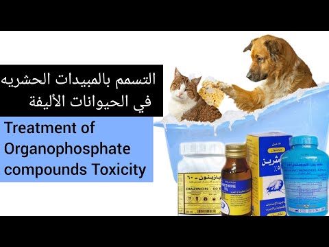 تسمم المبيدات الحشريه في الحيوانات الاليفه treatment of Organophosphate Toxicity