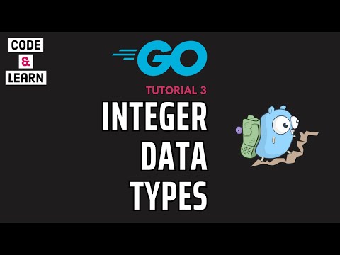 GoLang Lesson 3: Exploring Integer Data Types - Signed, Unsigned, Bytes, and Rune