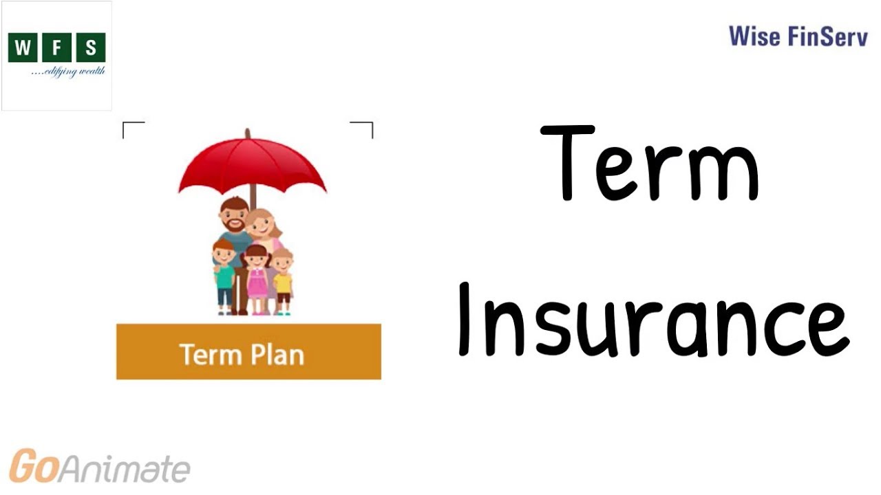 Importance Of Term Insurance - Insurance