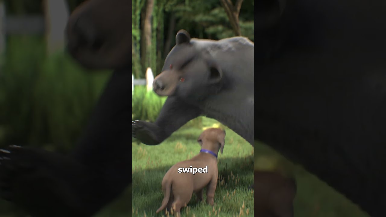 Dog Saves Woman From A Bear Attack 
