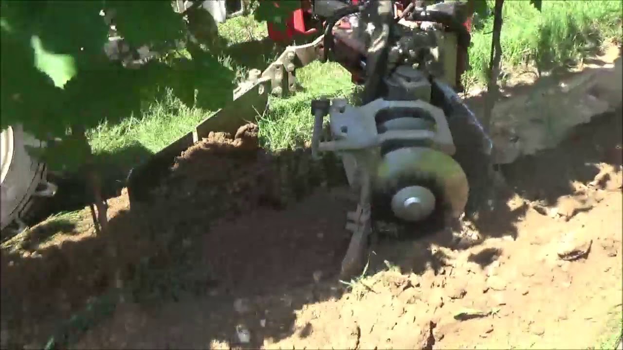 SCALZATORE LOTTI ANTONIO CON LAMA ESTIVA E DISCHIERE