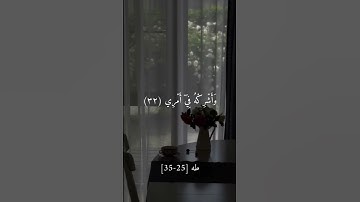 -قال ربي أشرح لي صدري | تلاوه هادئه للقارء شريف مصطفي | #القرآن_الكريم #شريف_مصطفى