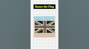 Tricky Flag Challenge! Test Your Geography Knowledge 🌎 Guess the flag #shortsfeed #visualillusion