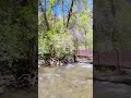 Fishing American Fork river in the Uinta national Forest.